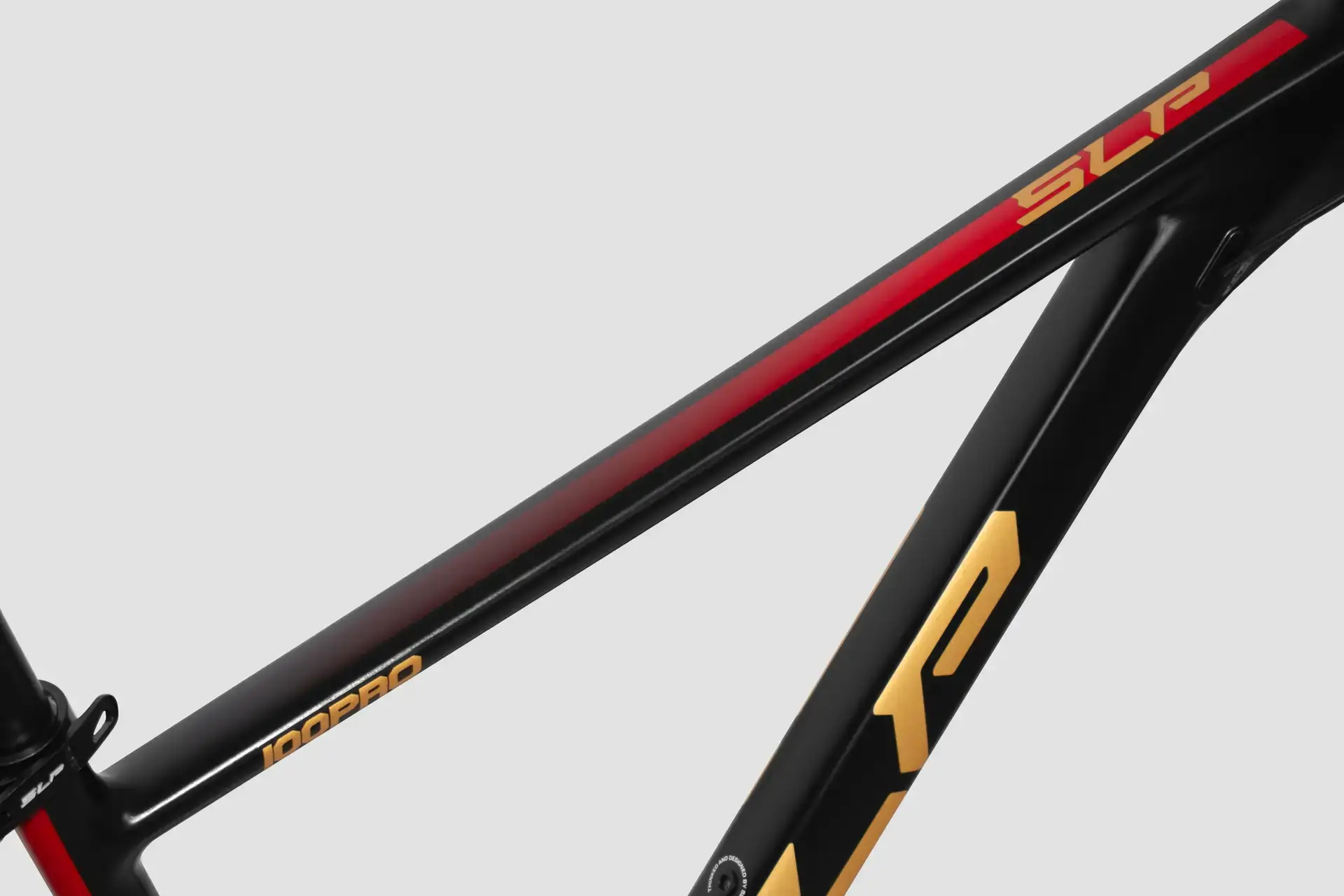 SLP 100 Pro R29 2025 - Imagen 9