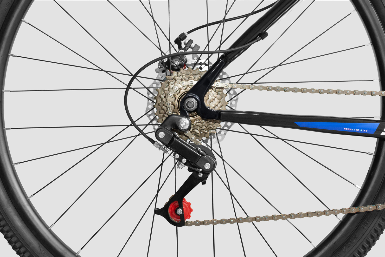 Razel S1 R29 2025 - Imagen 6